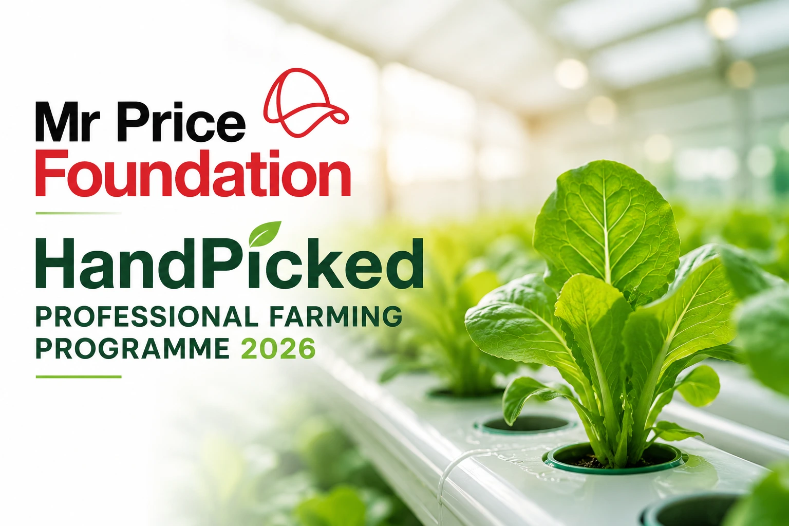 Mr Price Foundation HandPicked Professional Farming Programme 2026
